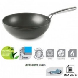 Comprar Sartén Ibili Titan Wok Aluminio Fundido 30 Cm Oferta Outlet