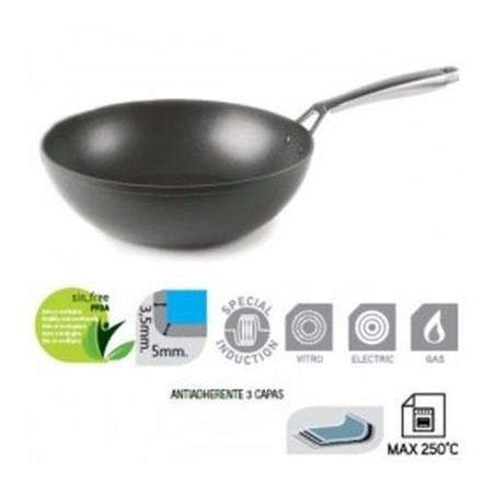 Sartén Ibili Titan Wok Aluminio Fundido 30 Cm