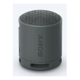 Comprar Altavoz Portátil Sony SRS-XB100 Bluetooth Negro Oferta Outlet