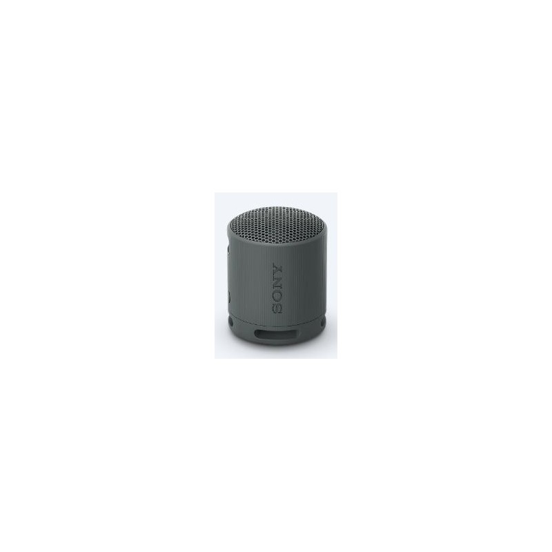 Altavoz Portátil Sony SRS-XB100 Bluetooth Negro