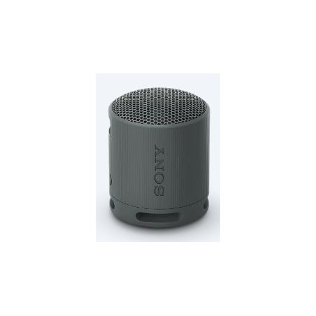 Altavoz Portátil Sony SRS-XB100 Bluetooth Negro