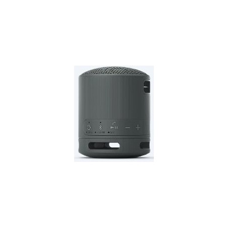 Altavoz Portátil Sony SRS-XB100 Bluetooth Negro